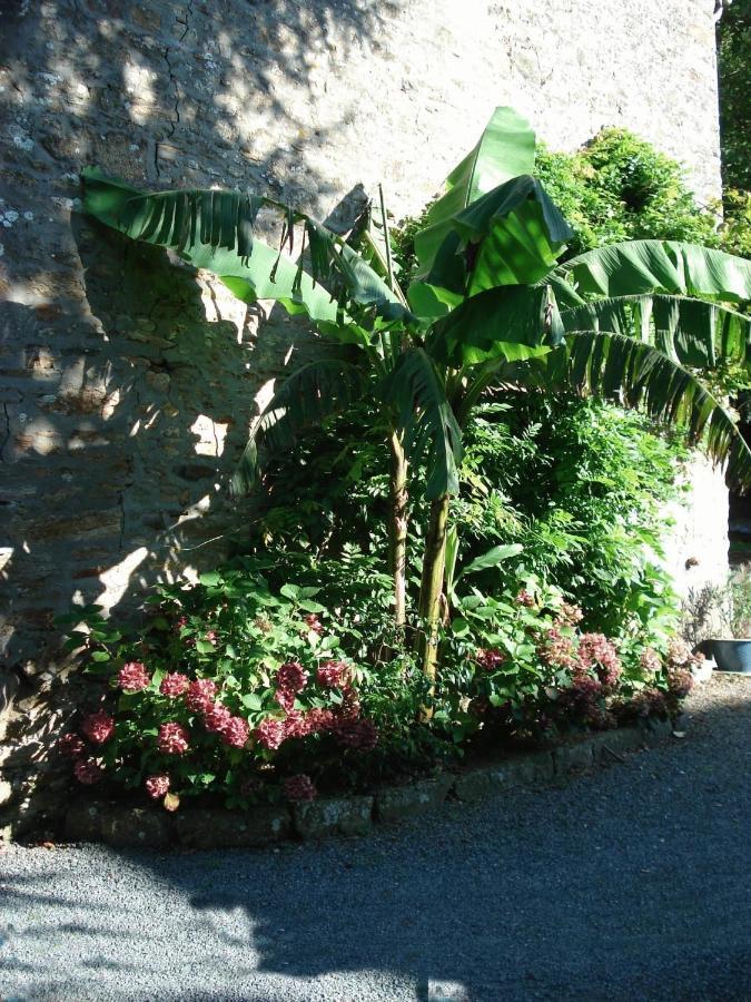 Le Clos Des Tilleuls La Vendelee Exterior photo